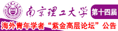 啊啊啊大鸡吧南京理工大学第十四届海外青年学者紫金论坛诚邀海内外英才！